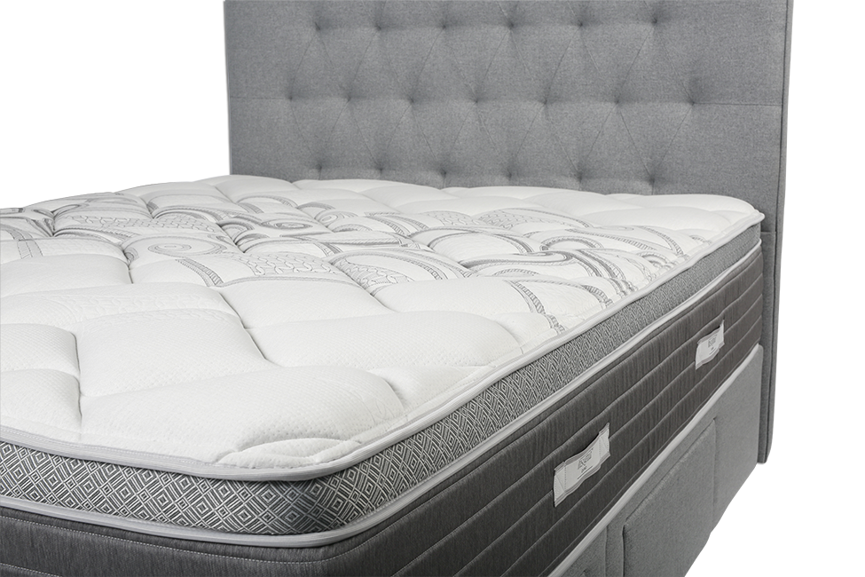 chiro protector mattress comfort source
